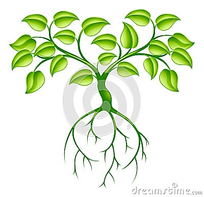 Green tree and roots Vector Illustration