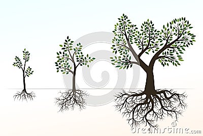 Green Tree with Roots. Vector Illustration. Shape of Tree and R Vector Illustration
