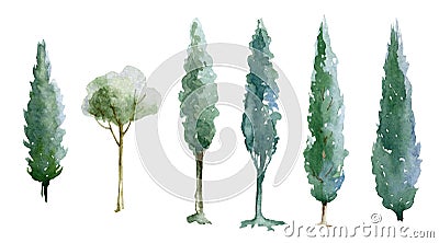 Green tree watercolor illustration set. Natural cypress trees. Hand drawn leafy and evergreen tree element collection Cartoon Illustration