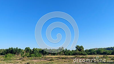 green treen jungle in punjab Pakistan Stock Photo