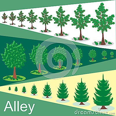 Green trees In the alley Vector Illustration