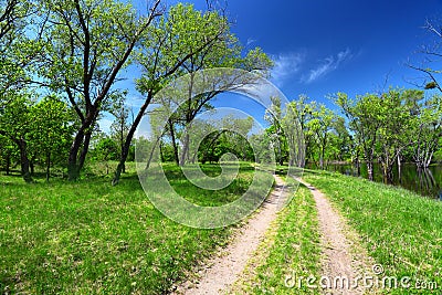 Green trees and dirt road Stock Photo