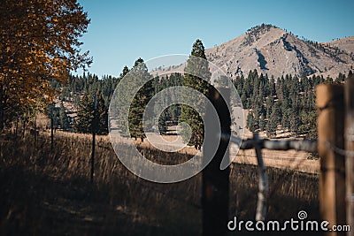 Green trees by rocky mountain in Montana, USA with blur barbed wire fence in the foreground Stock Photo