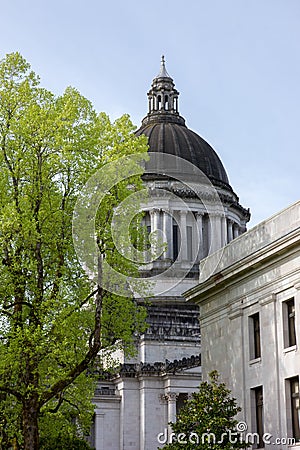 Green trees surround Washington State Capitol. Editorial Stock Photo
