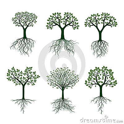 Green of Trees . Vector Illustration. Stock Photo
