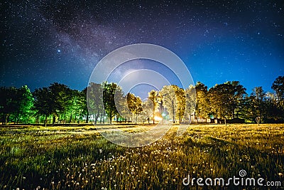 Green Trees Woods In Park Under Night Starry Sky. Night Landscape Stock Photo
