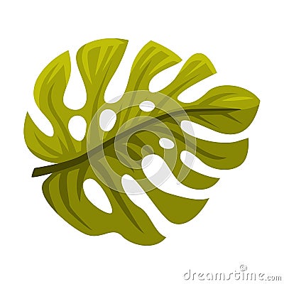 Green Tropical Leaf and Foliage of Bali Vector Illustration Vector Illustration