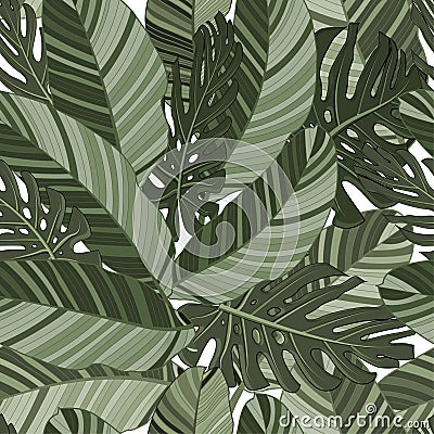 Green tropical leaves seamless pattern. Vector illustration. Exotic banana and monstera leaves background for fabric, art Vector Illustration