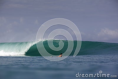 Green tropical surfing wave and surfer Editorial Stock Photo