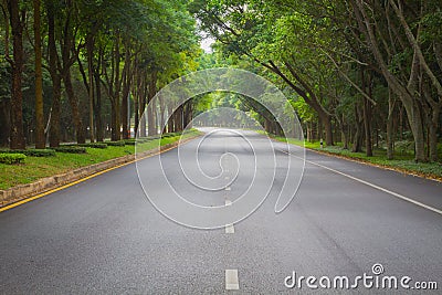 Green tunel forest clean road in the early morning, Thailand Stock Photo