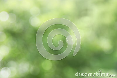 Green unfocused blurred backround Stock Photo