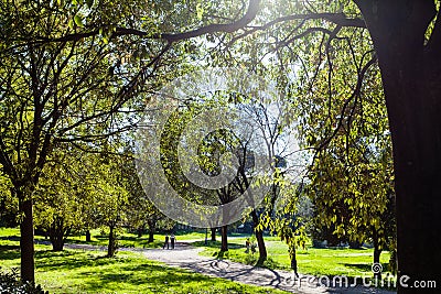 Green urban park of Villa Borghese gardens in Rome Stock Photo