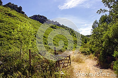 Green Valley Stock Photo