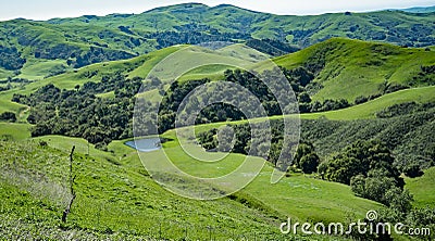 Green Valley, Cambria, California Stock Photo