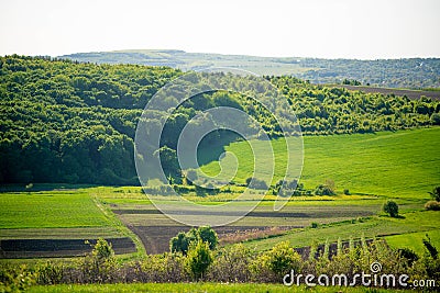 Green Valley, Field and Forest Stock Photo