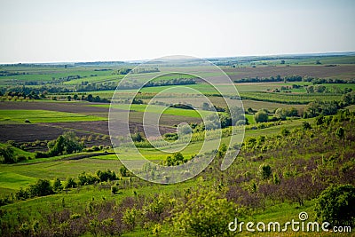 Green Valley, Field and Forest Stock Photo