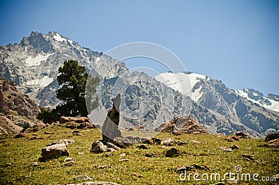 Green valley and mountains Stock Photo