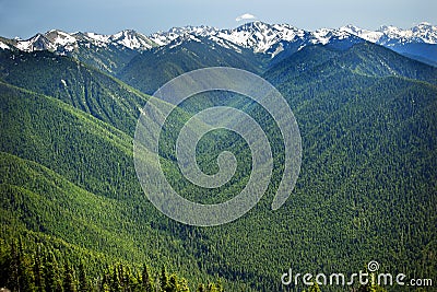 Green Valleys Snow Mountains Hurricane Ridge Stock Photo