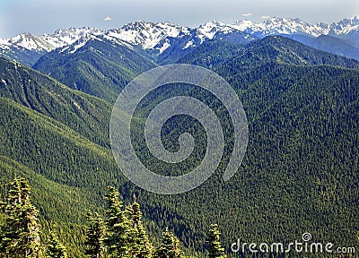 Green Valleys Snow Mountains Hurricane Ridge Stock Photo