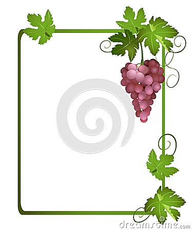 Green vector frame with a bunch of grapes Vector Illustration