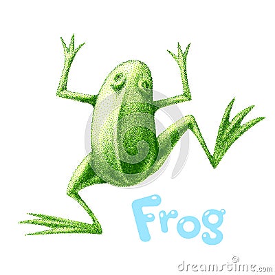 Green vector frog painted in engraving style Vector Illustration