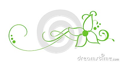 Green Vector Hand Drawn Calligraphic Separator. Spring Flourish Design Element. Floral light style decor for greeting Vector Illustration