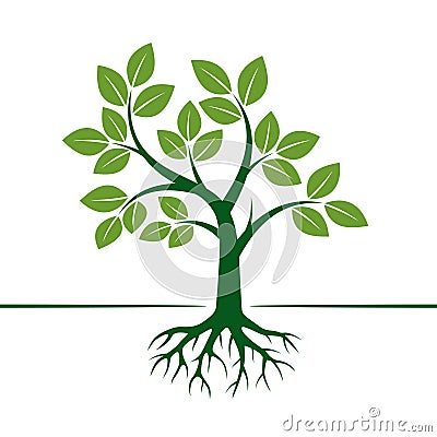 Green Vector Tree and Roots. Vector Illustration. Vector Illustration