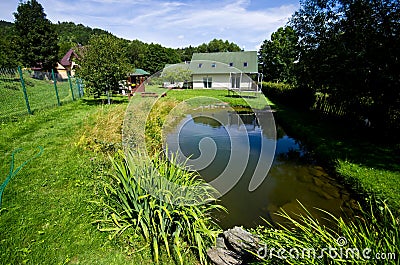 Green vegetable garden of a private house Stock Photo