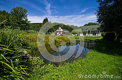 Green vegetable garden of a private house Stock Photo