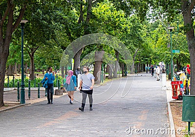 Green and vibrant Cape Town Gardens. Trees covering long pathway people walking by. Editorial Stock Photo