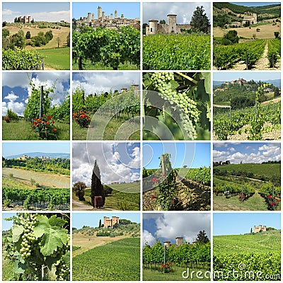 Green vineyards in tuscan countryside Stock Photo