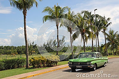 Green vintage American car rides along a row of tall palm trees Editorial Stock Photo
