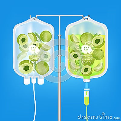 Green vitamin indian gooseberry bag. Amla fruit, amalaki with green leaves. Healthy food and juice concepts. Vector Illustration