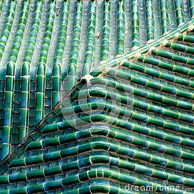 Green vitreous tile Stock Photo