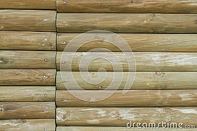 green wall made with wooden logs, horizontal lines Stock Photo