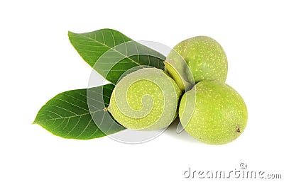 Green walnuts Stock Photo