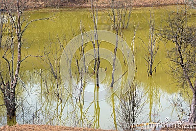 Green waste waters from a copper mine polluting the environment. Stock Photo