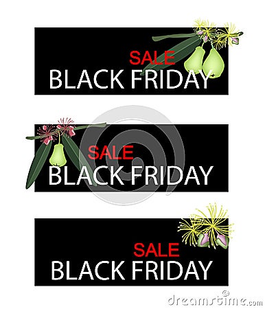 Green Water Apple on Black Friday Sale Banner Vector Illustration