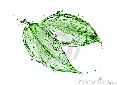 Green water splash leaves Stock Photo