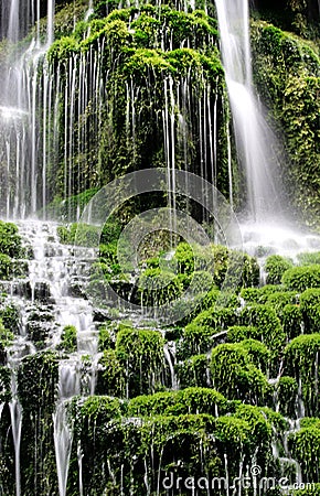 Green waterfall Stock Photo