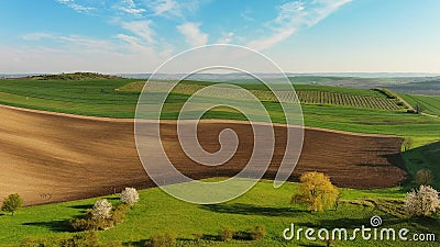 Green wavy hills with agricultural fields Stock Photo