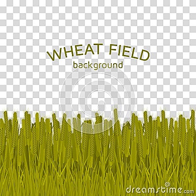 Green wheat field on checkered background Vector Illustration