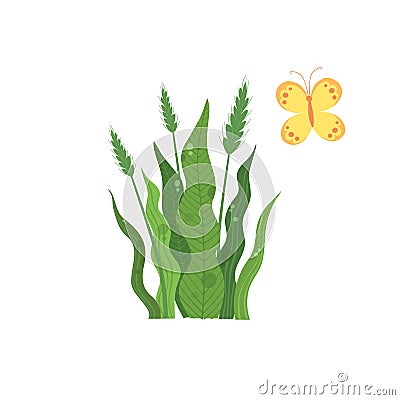 Green wheat plant near colorful butterfly icon, cartoon style Stock Photo