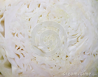 Green white clean fresh cabbage close up photo Stock Photo