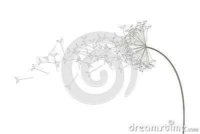 Green and white dandelion Vector Illustration