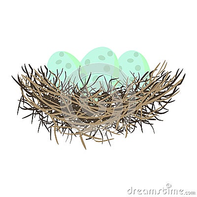 Green wild eggs in bird nest. Vector Illustration