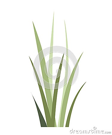 Green wild grass. Field plant. Summer grass icon. Flat vector illustration isolated on white background Cartoon Illustration