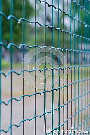 Green wire fence after rain closeup Stock Photo