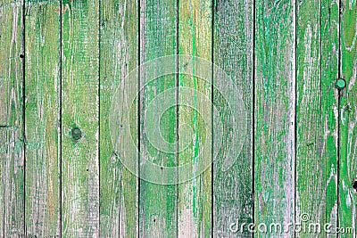 Green wood texture Stock Photo