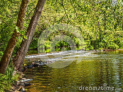 Green Woodlands Stream Stock Photo